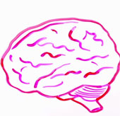 How does stress cause harm to the human body?