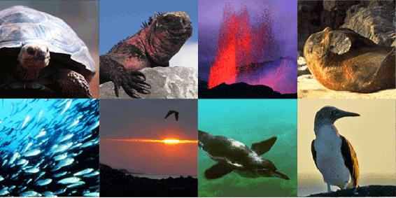How does the Galapagos Islands change the world?