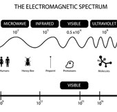 How does the microwave oven work?