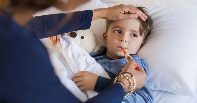 How does white blood cells help us fight disease?