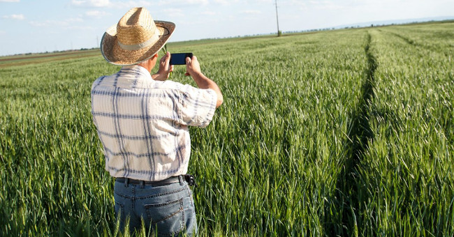 How far have people traveled in their fields?