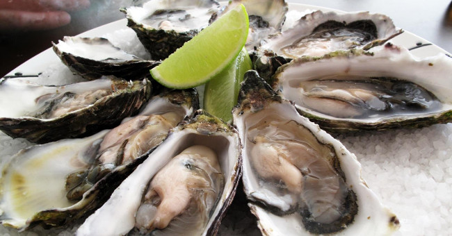 How has the story of cultivating oysters in tires become a disaster?