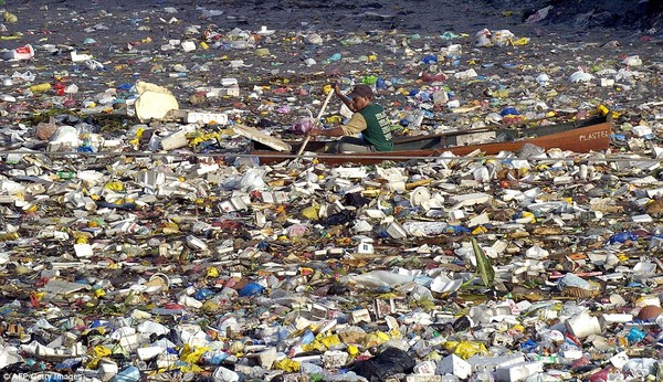 How have people devastated the ocean for decades?
