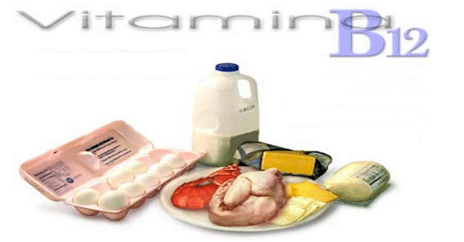 How important is vitamin B12?