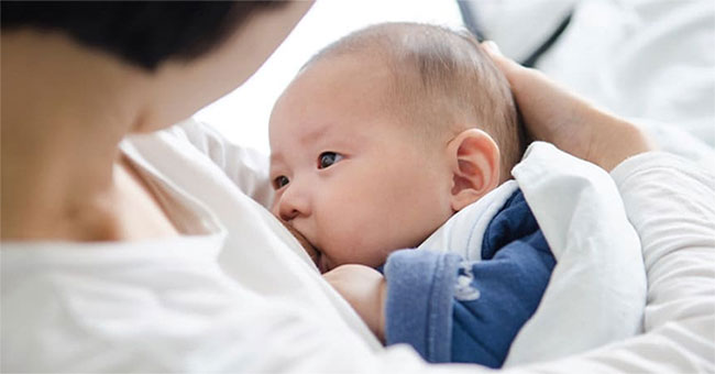How is breast milk formed?