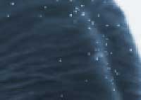 How is dandruff born?