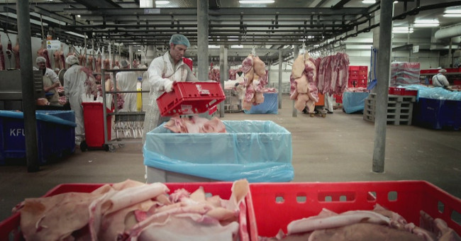 How is gelatin food additive produced?