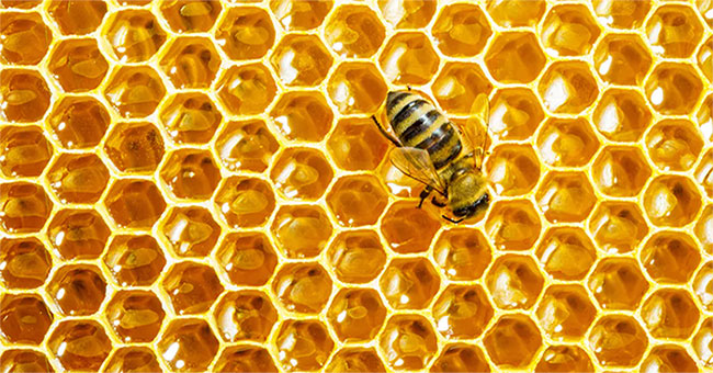 How is honey formed?
