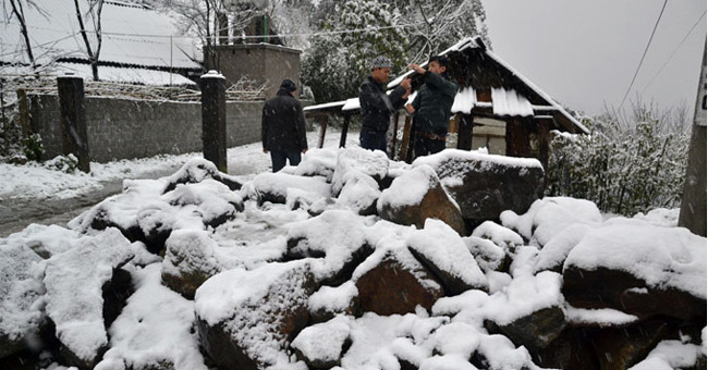How is the cold weather damage?