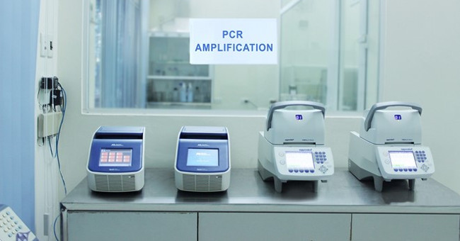 How is the DNA testing process done?
