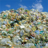 How is the earth if plastic bags disappear?