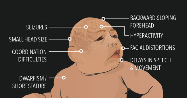 How is Zika virus raging in human history?