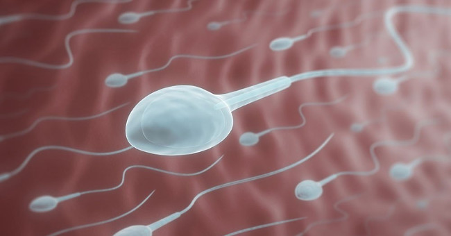 How long does sperm live outside the body?