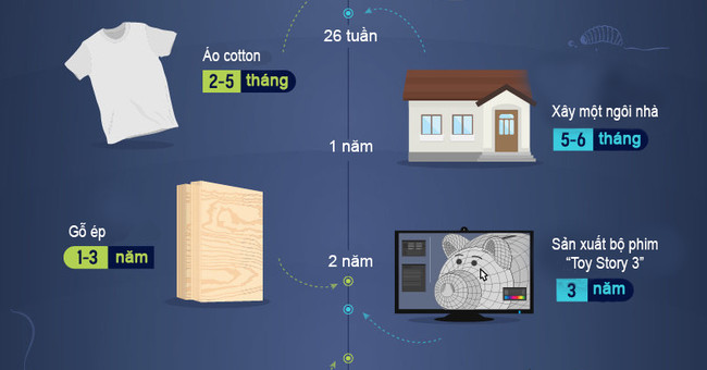 How long does your daily waste take to decompose?