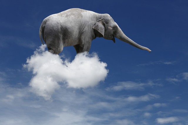 How many elephants are a cloud?