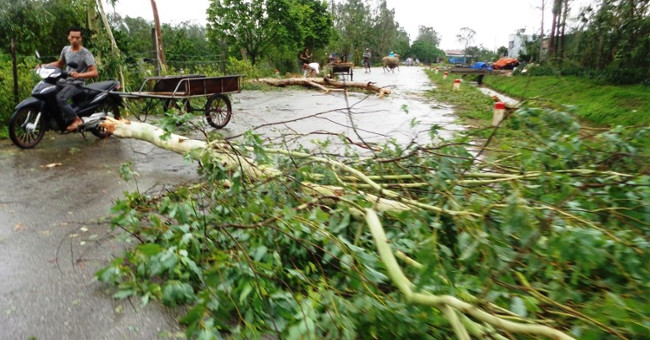 How many storms did Vietnam suffer in August?