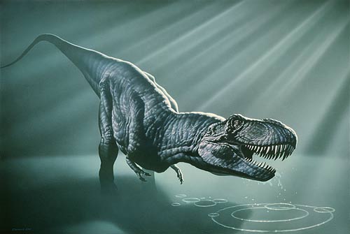 How thin or fat dinosaurs?