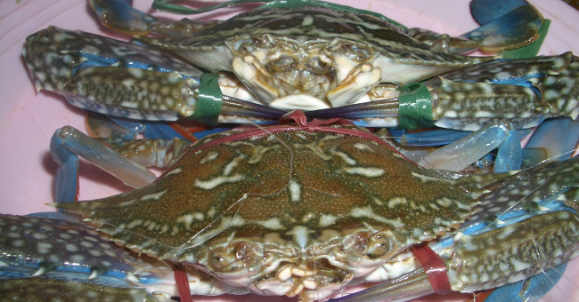 How to choose crabs, delicious and meaty crabs