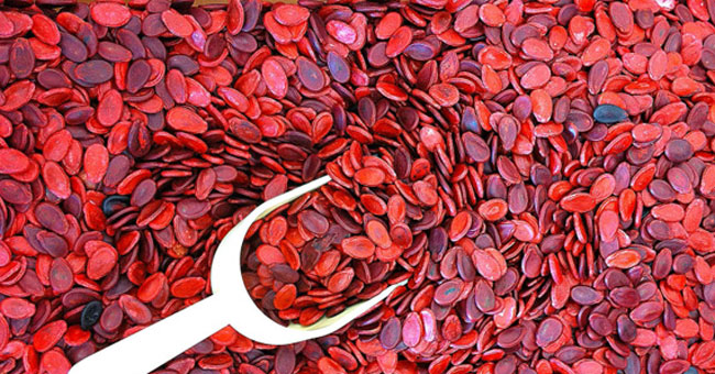 How to choose melon seeds is not stained with chemicals