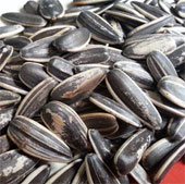 How to choose sunflower seeds safely