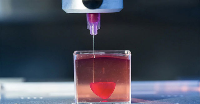 How to create organs using 3D printing technology