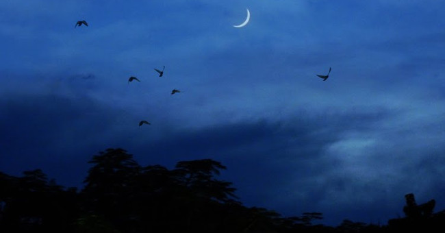 How to determine the direction by the Moon