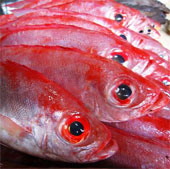 How to identify urea-impregnated seafood
