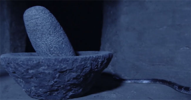 How to kill the scary midnight of Indian poisonous snakes