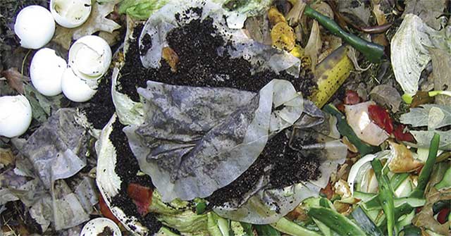 How to make compost at home is surprisingly simple