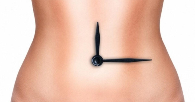 How to optimize the body's biological clock?