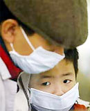 How to recognize and prevent bird flu on humans