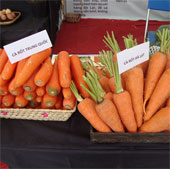 How to recognize Dalat and Chinese vegetables