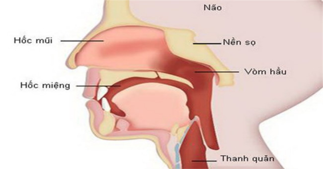 How to recognize early types of head and neck cancer