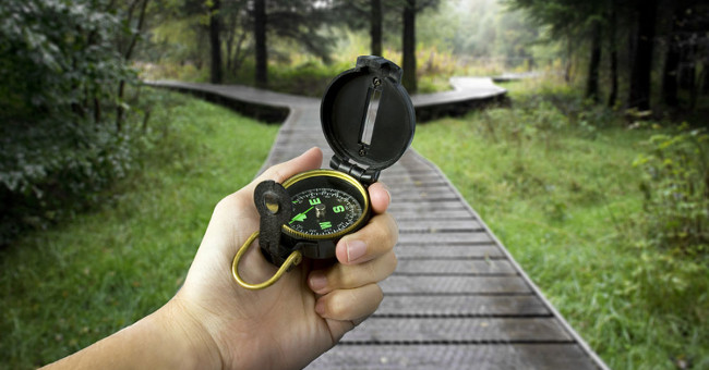 How to survive when lost?