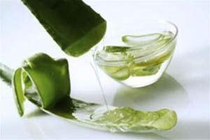 How to use aloe vera plant for healing