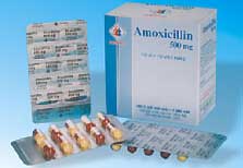 How to use amoxycillin?