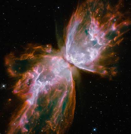 Huge butterfly wings in the universe