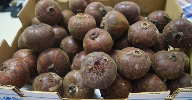 'Huge' figs caused a stir in Hanoi