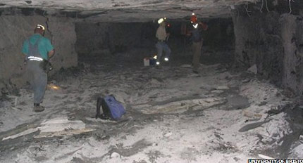 Huge fossil forest in the mine