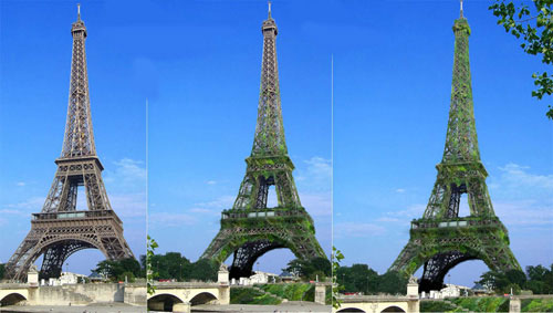 'Huge green tree' between Paris