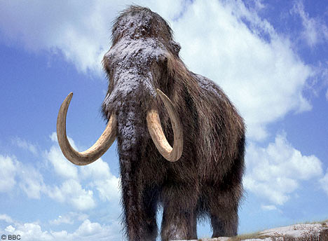 Huge mammals live harder, become extinct faster