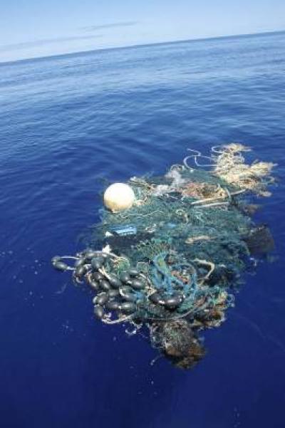 Huge Pacific garbage tape