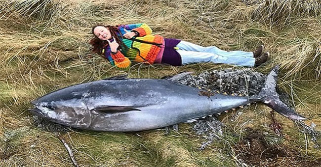 Huge tuna caught by strong storms washed ashore on the Scottish coast