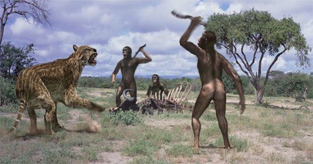 Human ancestors caused the extinction of animals 4 million years ago