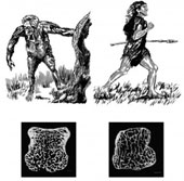 Human bones are lighter with time