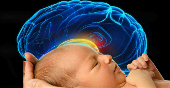 Human brain develops fastest after birth