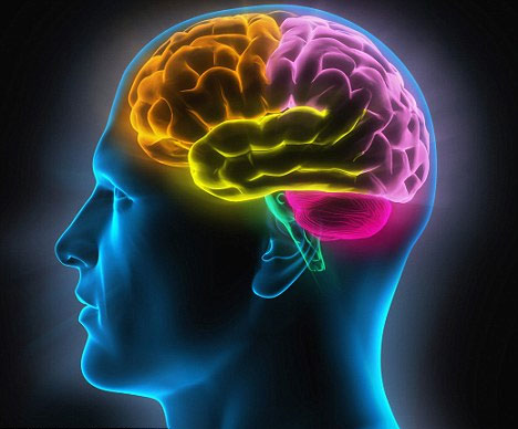 Human brains are harder to be intelligent