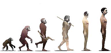 Human evolution has ended