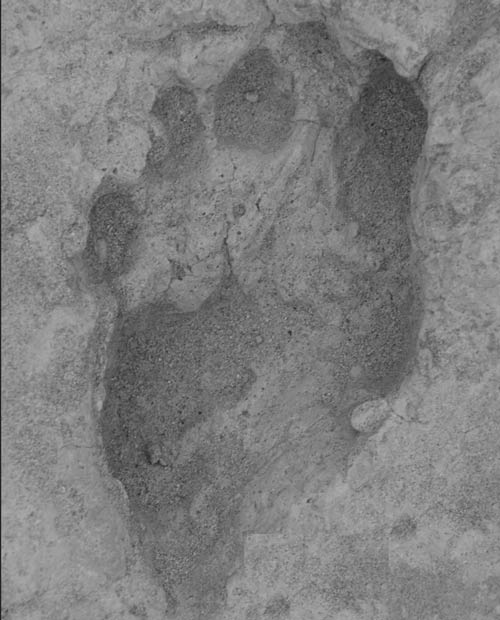Human footprints are 1.5 million years old