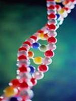 Human gene map: expectation and reality